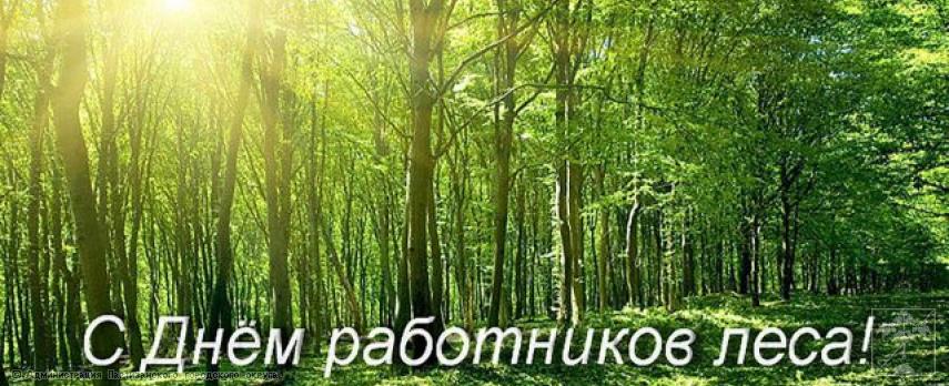 Поздравление главы городского округа О.А. Бондарева с Днем работников леса