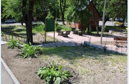 06.06.2023 В сквере по ул.Замараева посадили хосту | Администрация муниципального округа город Партизанск Приморского края Официальный сайт