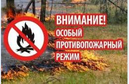 07.03.2024 Особый противопожарный режим - с сегодняшнего дня | Администрация муниципального округа город Партизанск Приморского края Официальный сайт
