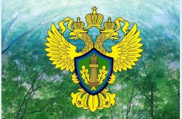 08.06.2023 Прием ведет природоохранный прокурор | Администрация муниципального округа город Партизанск Приморского края Официальный сайт