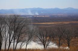 25.03.2026 Нарушителей правил пожарной безопасности наказывают в Приморье | Администрация муниципального округа город Партизанск Приморского края Официальный сайт