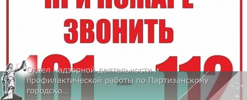 Отдел надзорной деятельности и профилактической работы по Партизанскому городскому округу сообщает