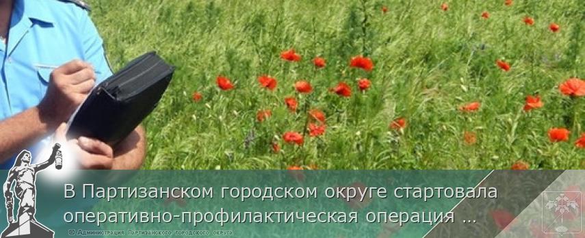 В Партизанском городском округе стартовала оперативно-профилактическая операция «Мак-2021»