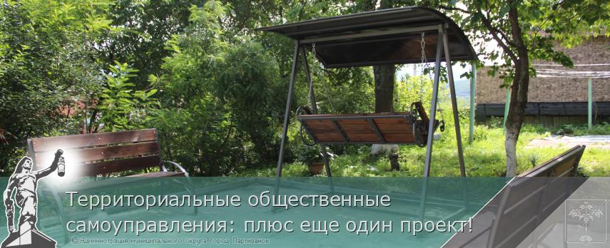 Территориальные общественные самоуправления: плюс еще один проект!  | Администрация муниципального округа город Партизанск Приморского края Официальный сайт