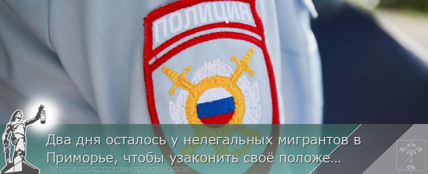 Два дня осталось у нелегальных мигрантов в Приморье, чтобы узаконить своё положение | Администрация муниципального округа город Партизанск Приморского края Официальный сайт