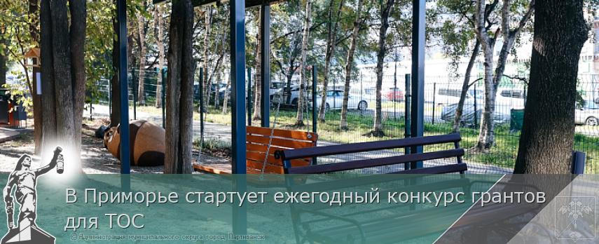 В Приморье стартует ежегодный конкурс грантов для ТОС | Администрация муниципального округа город Партизанск Приморского края Официальный сайт