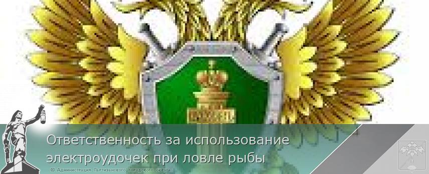 Ответственность за использование электроудочек при ловле рыбы