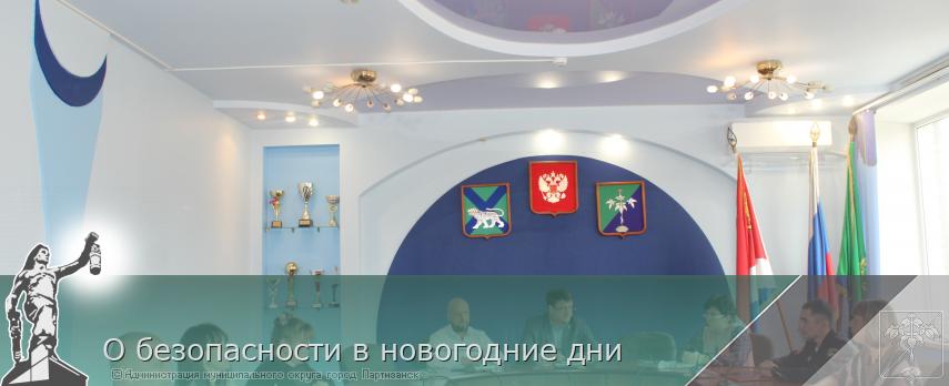 О безопасности в новогодние дни | Администрация муниципального округа город Партизанск Приморского края Официальный сайт