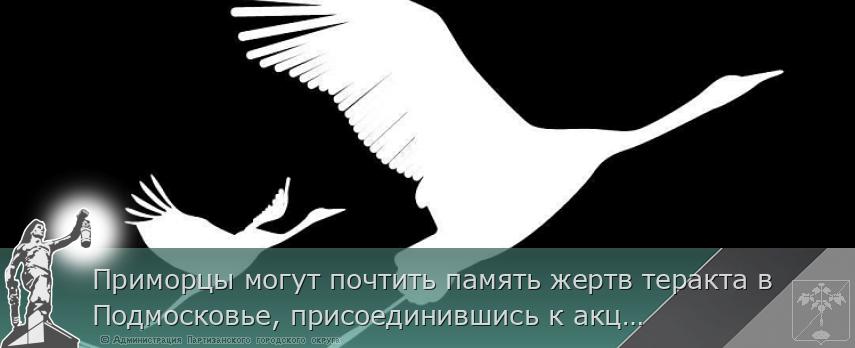 Приморцы могут почтить память жертв теракта в Подмосковье, присоединившись к акции «Журавли»