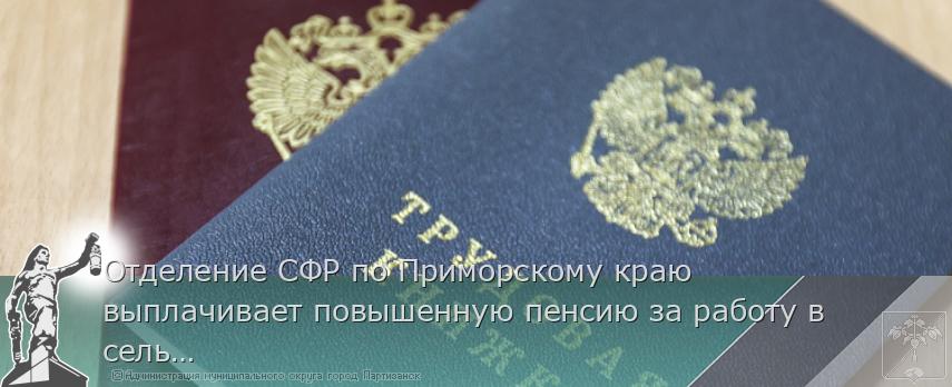 Отделение СФР по Приморскому краю выплачивает повышенную пенсию за работу в сельском хозяйстве более 2 тысячам жителей региона | Администрация муниципального округа город Партизанск Приморского края Официальный сайт