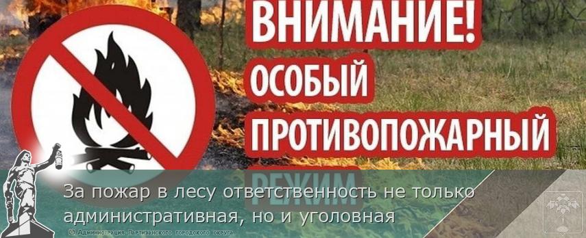 За пожар в лесу ответственность не только административная, но и уголовная