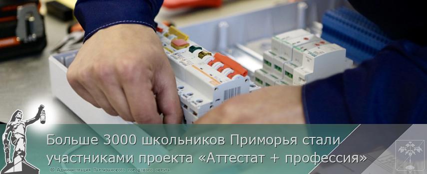 Больше 3000 школьников Приморья стали участниками проекта «Аттестат + профессия»